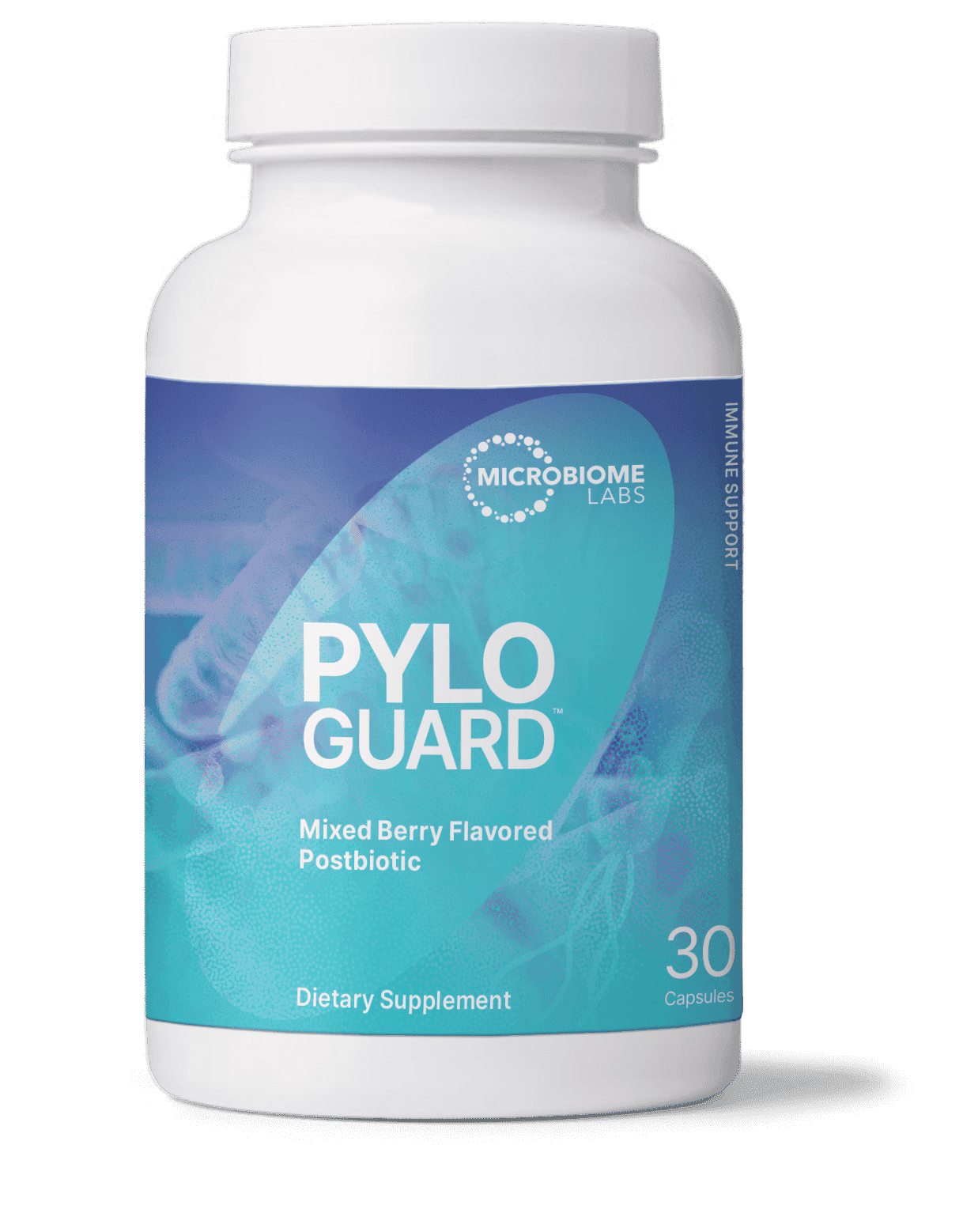 PyloGuard